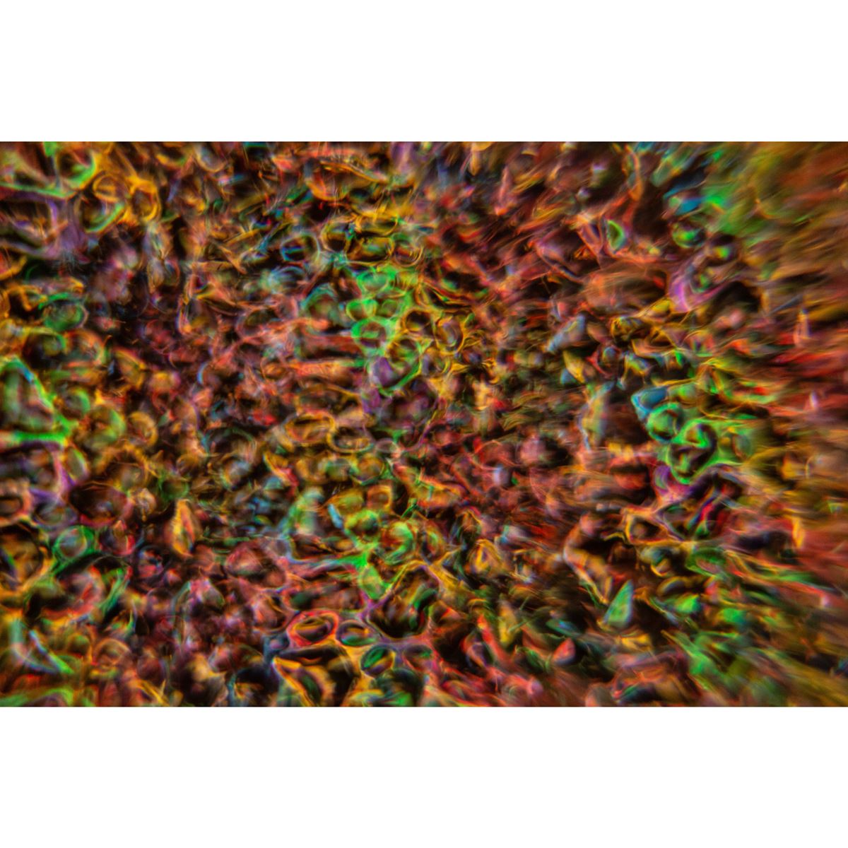 JB Systems Delusion 04