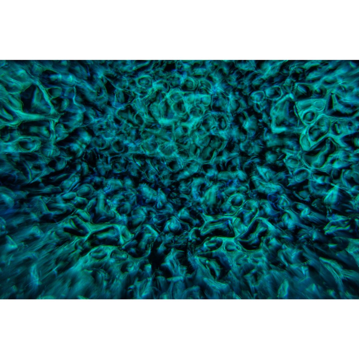 JB Systems Delusion 08