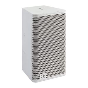 Audiophony 106W Speaker Wit