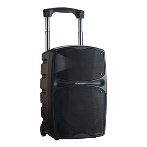 Audiophony Racer 120 Evo Speaker 02