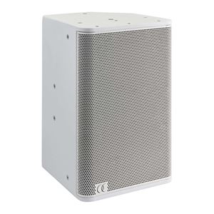 Audiophony Sline 110W Speaker Wit 01