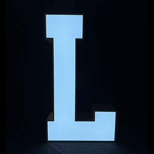 L 01